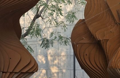 The Seed | andblack design studio