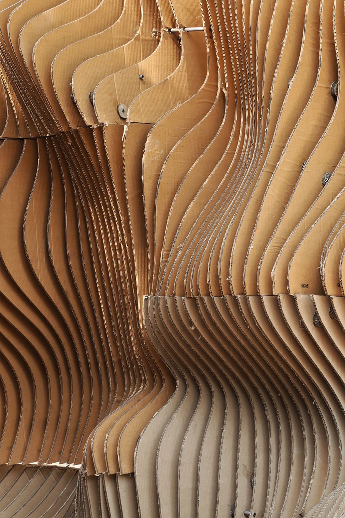 The Seed | andblack design studio