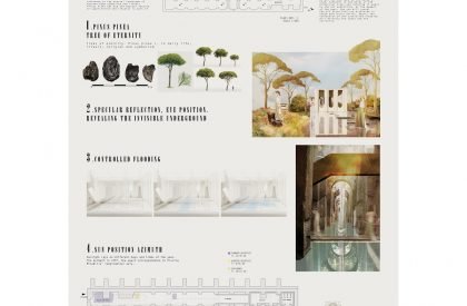 Re-use the Roman Ruin – Piscina Mirabilis- Result Announced