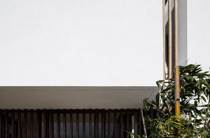 Villa F | Siana Architecte