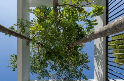 Ottiqa House | Fabian Tan Architect