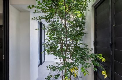 Ottiqa House | Fabian Tan Architect