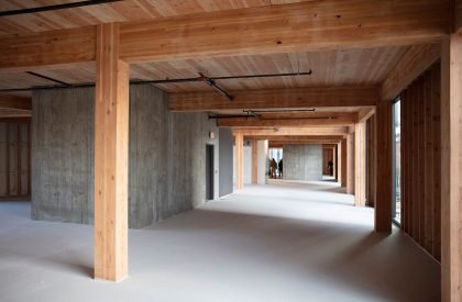 Sideyard | Skylab