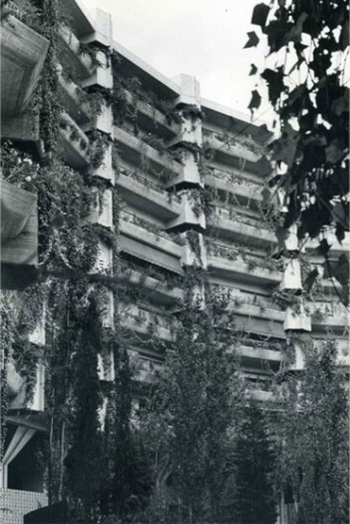 Result Announced | Sustainability in Architecture