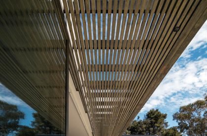 Portsea Beach House | Mitsuori Architects