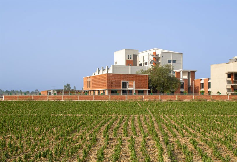 Weekly Highlights 2021 #34