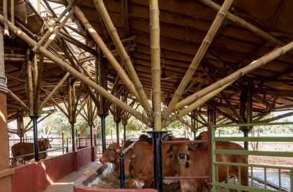 Gau-Ghar | Compartment S4
