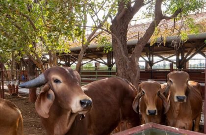 Gau-Ghar | Compartment S4
