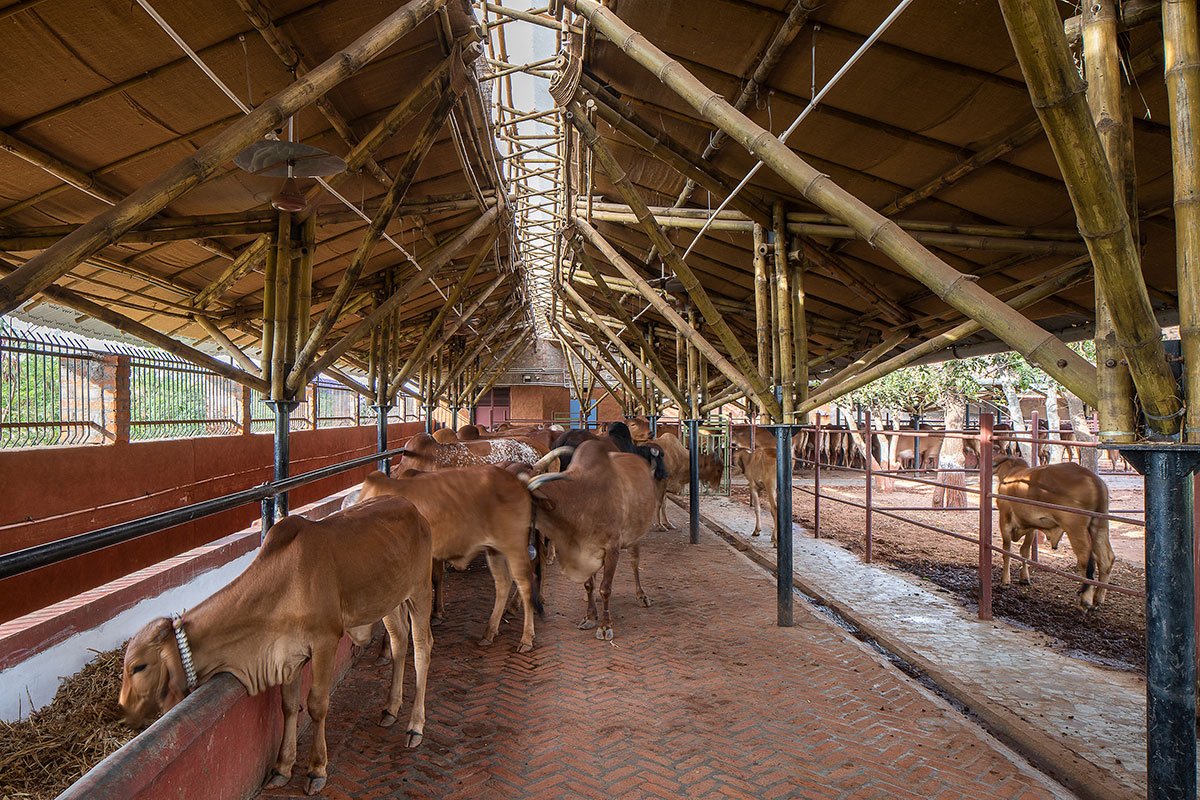 Gau-Ghar | Compartment S4