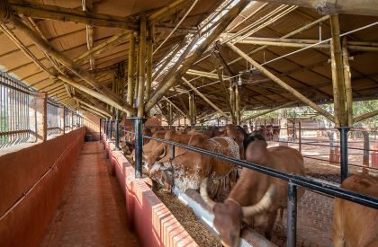 Gau-Ghar | Compartment S4