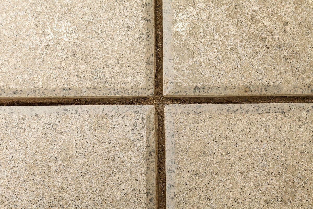 Rug Republic | Architecture Discipline