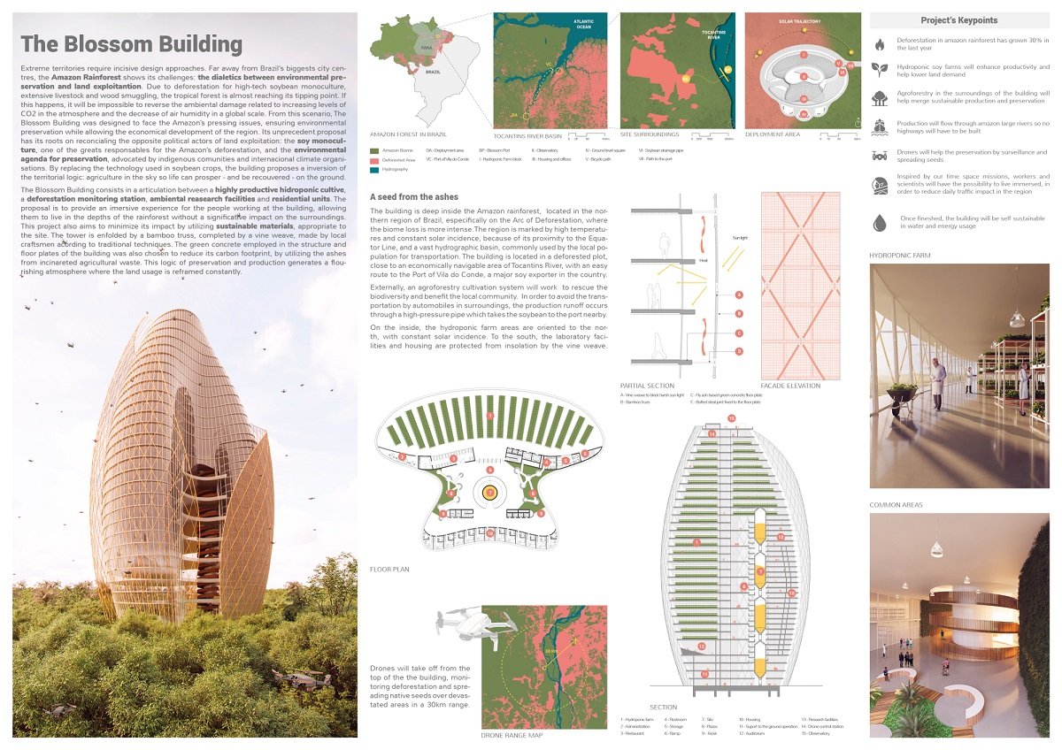 Skyhive 2021 Skyscraper Challenge | Winner Announcement