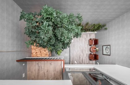 Villa City | Story Architecture