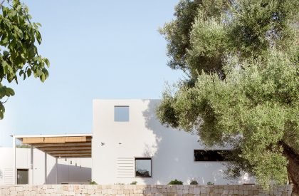 Uliveto House | Noname Studio
