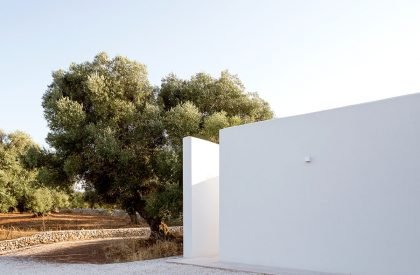 Uliveto House | Noname Studio