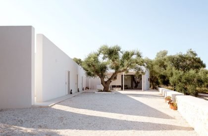 Uliveto House | Noname Studio