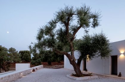 Uliveto House | Noname Studio