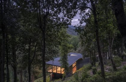 PR House | Triangular