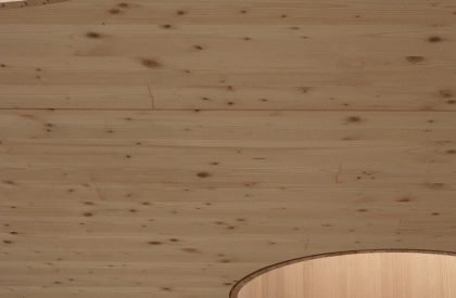 Above the Trees | Lechner & Lechner Architects