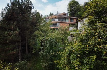 Above the Trees | Lechner & Lechner Architects