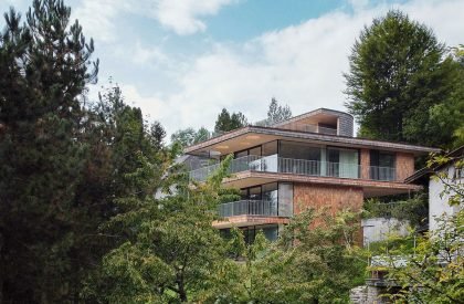 Above the Trees | Lechner & Lechner Architects