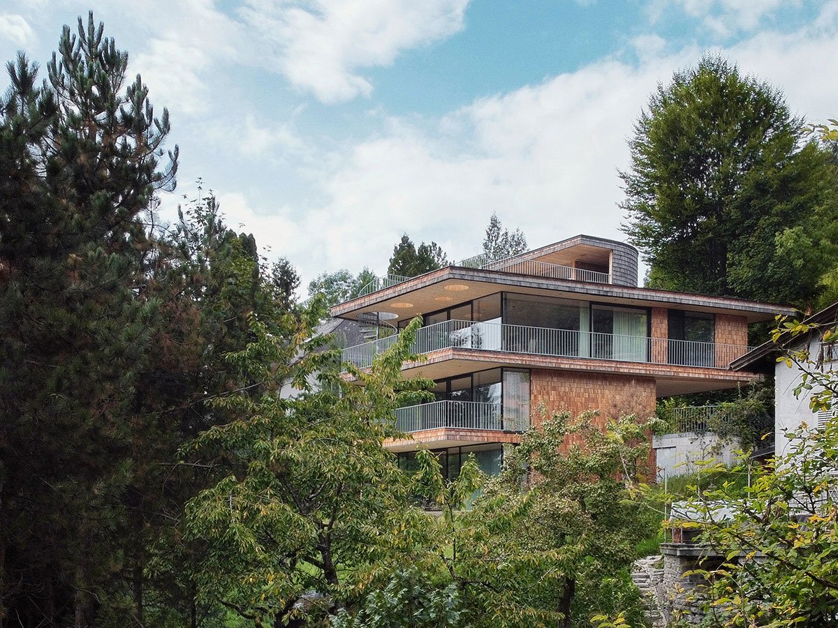 Above the Trees | Lechner & Lechner Architects