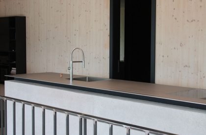 Above the Trees | Lechner & Lechner Architects