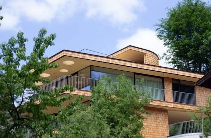 Above the Trees | Lechner & Lechner Architects