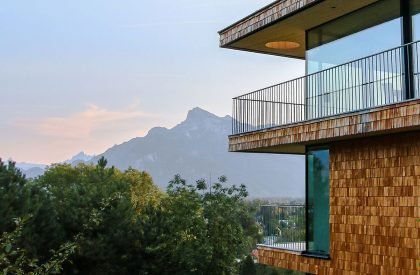Above the Trees | Lechner & Lechner Architects