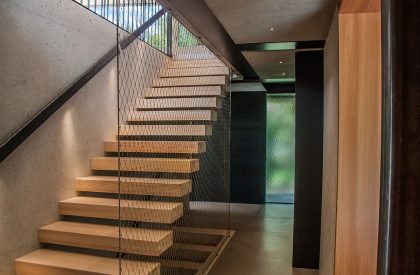 Above the Trees | Lechner & Lechner Architects