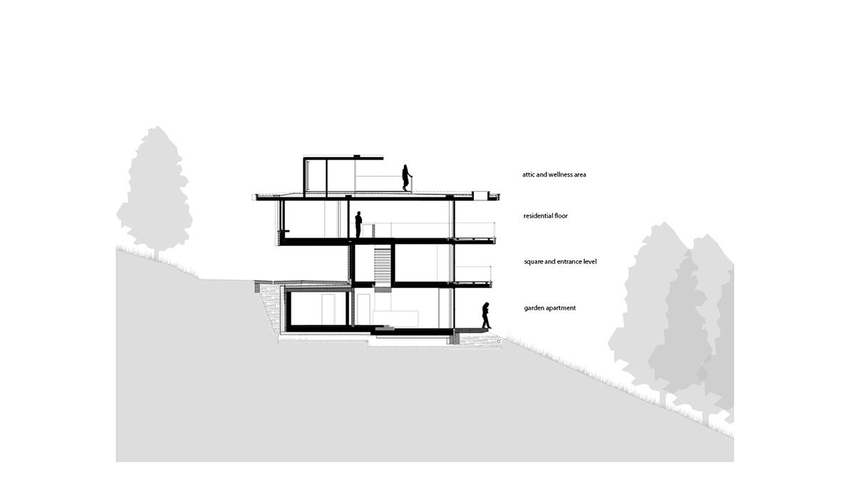 Above the Trees | Lechner & Lechner Architects