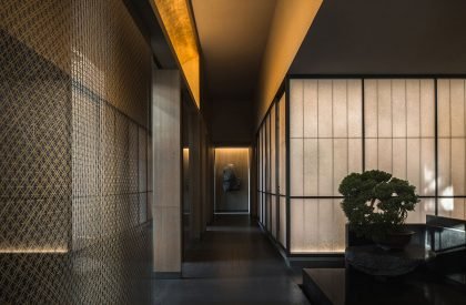 Ember | Nature Times Art Design Co., Ltd.