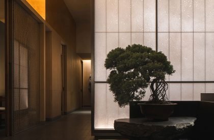 Ember | Nature Times Art Design Co., Ltd.