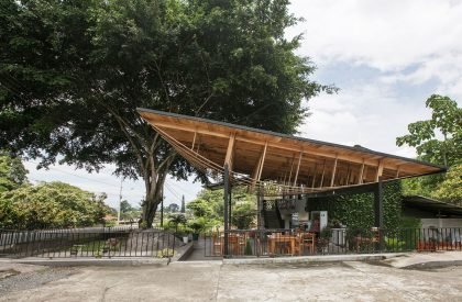 Ficus Alto- Outdoor Art Platform | Natura Futura Arquitectura
