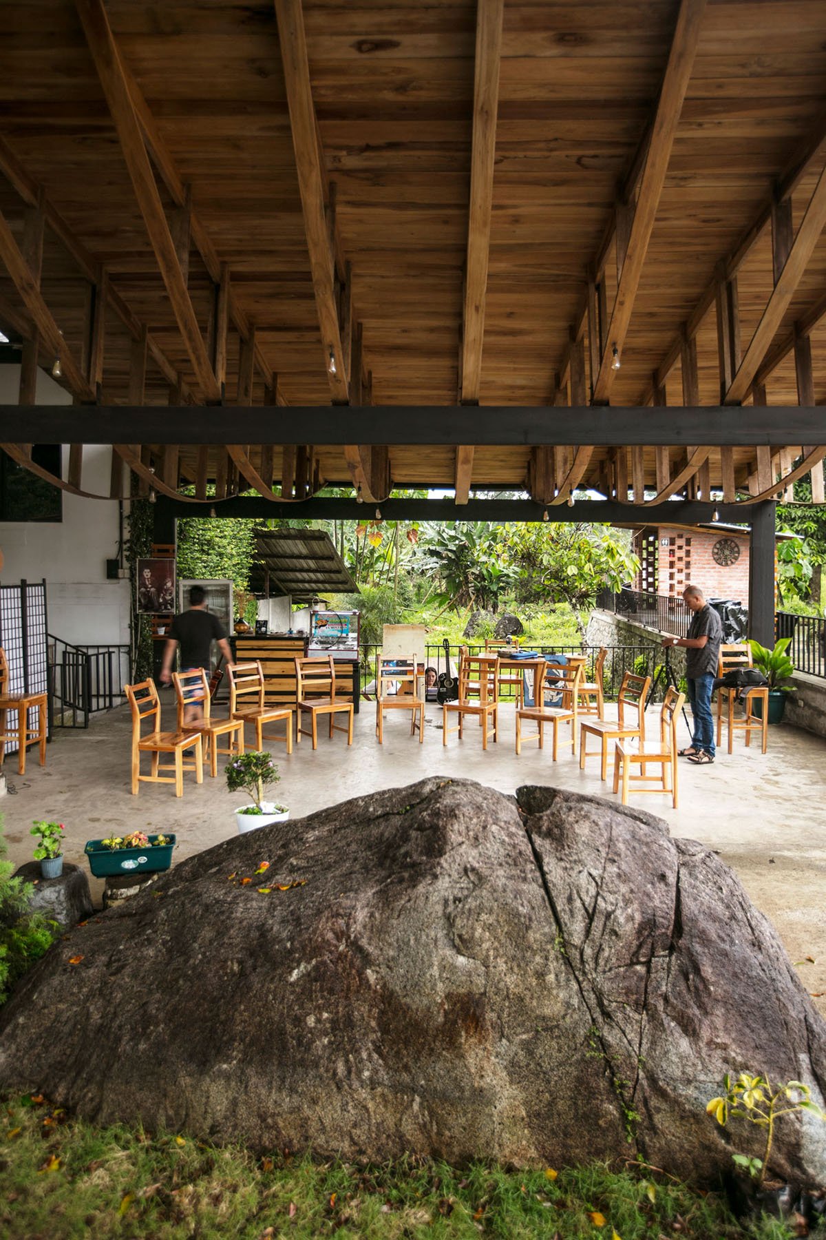 Ficus Alto- Outdoor Art Platform | Natura Futura Arquitectura