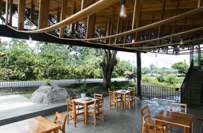 Ficus Alto- Outdoor Art Platform | Natura Futura Arquitectura