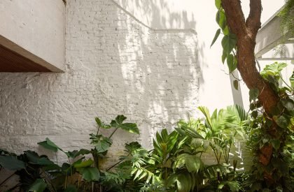 Maria Rosa House | VAGA