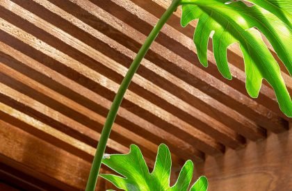 Maria Rosa House | VAGA