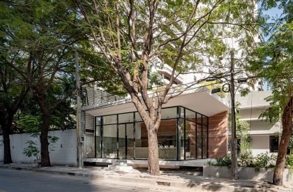 Cosmos Café | Studio PATH