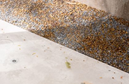 Cosmos Café | Studio PATH