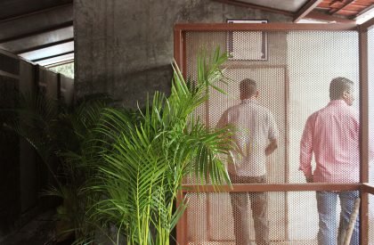 Toilet in a Courtyard | RC Architects