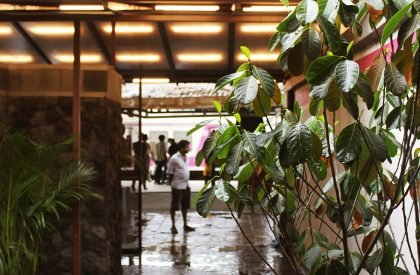 Toilet in a Courtyard | RC Architects