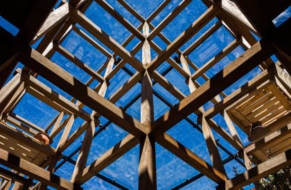 Terra Cotta Studio | Tropical Space