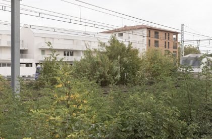 Le XV | TAA (Taillandier Architectes Associés)