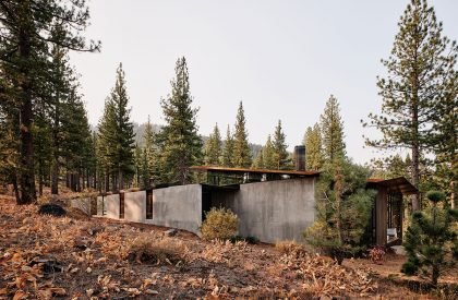 Campout | Faulkner Architects