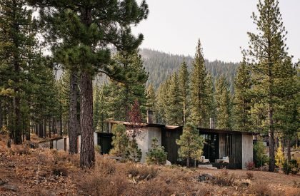 Campout | Faulkner Architects