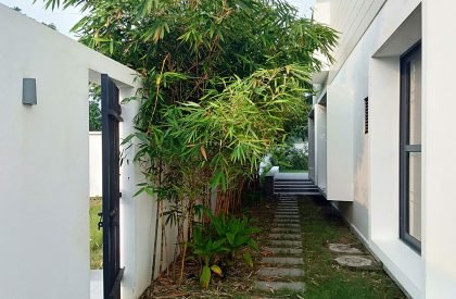 Jinat Batika | 3 Points Consultant