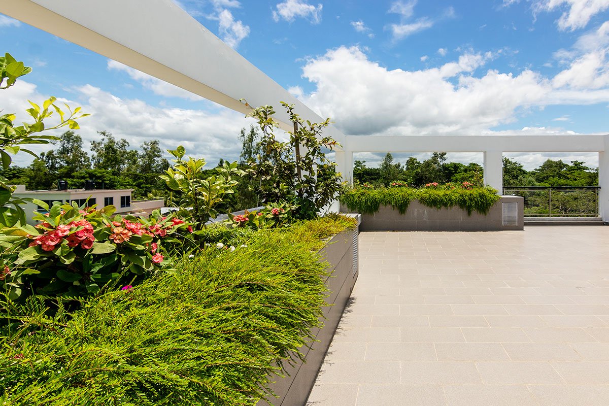 Jinat Batika | 3 Points Consultant