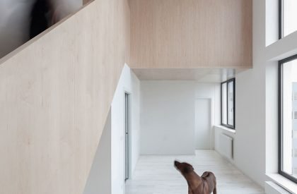 Urban Infill Lofts | CHYBIK + KRISTOF