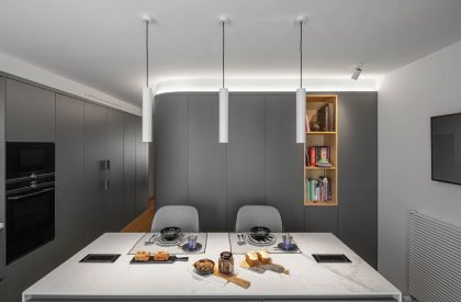 CP Apartment Renovation | David Olmos Arquitectos